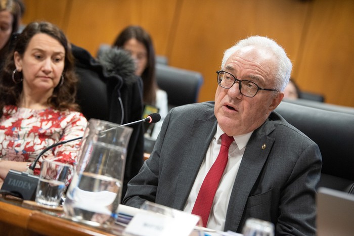 Mario Lubetkin, este miércoles, en la comisión de Hacienda de la Cámara de Diputados · Foto: Gianni Schiaffarino