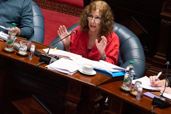 Constanza Moreira, este miércoles, en la Cámara de Senadores · Foto: Gianni Schiaffarino