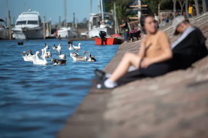 Archivo, setiembre de 2025. · Foto: Gianni Schiaffarino