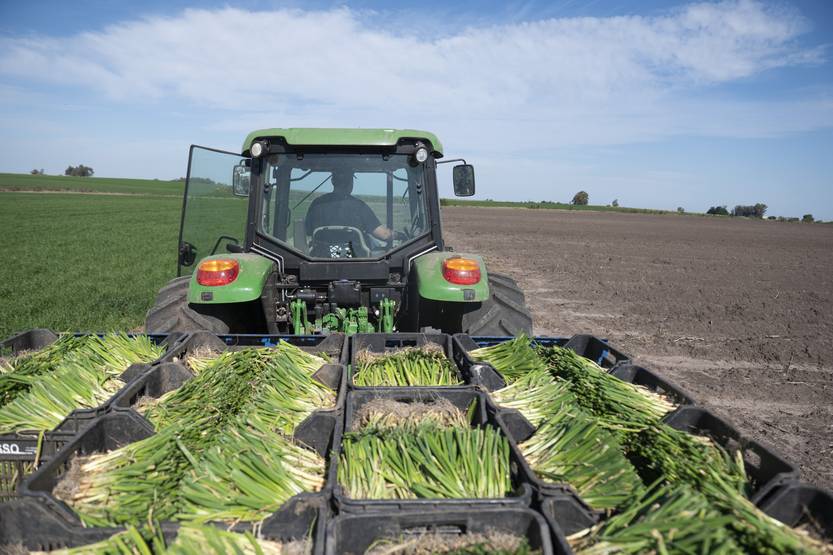 20260102 POL INVERSIONES