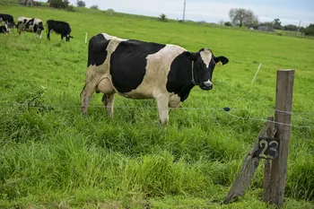 Archivo, setiembre de 2025. · Foto: Ignacio Dotti