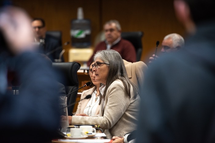Lucia Etcheverry, el 22 de setiembre, en la Comisión de Presupuesto Integrada con Hacienda. · Foto: Gianni Schiaffarino