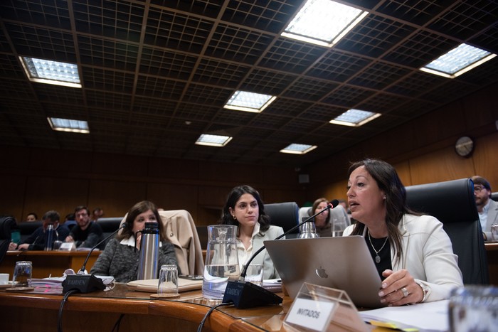 Fernanda Cardona, el 23 de setiembre, en el Parlamento. · Foto: Gianni Schiaffarino