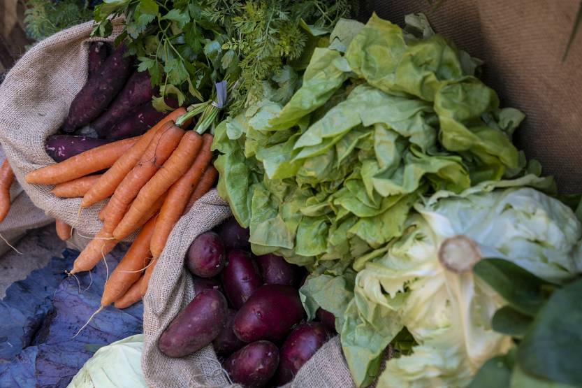 20260106 FUT UTEC SEMILLAS