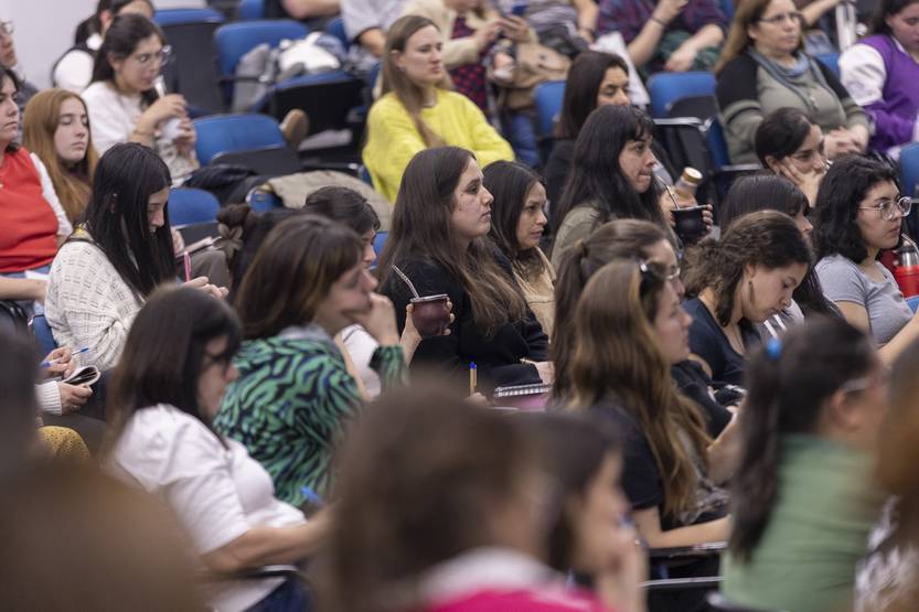 20251009 FEM viol vicaria 2