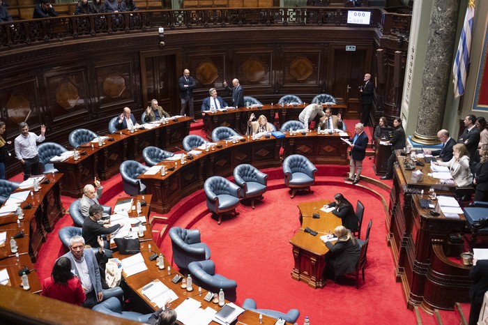 Sesión del Senado. · Foto: Alessandro Maradei