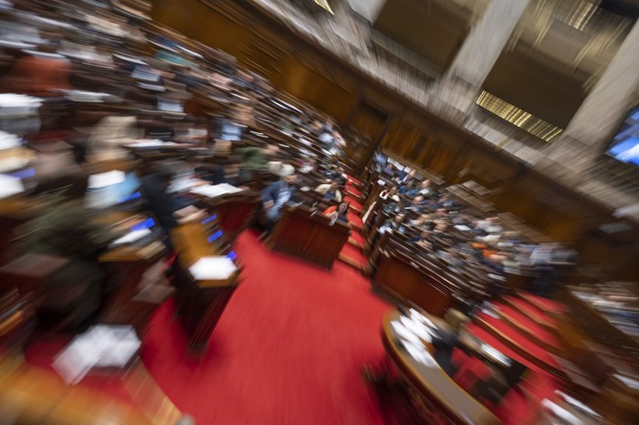 Cámara de diputados. · Foto: Gianni Schiaffarino