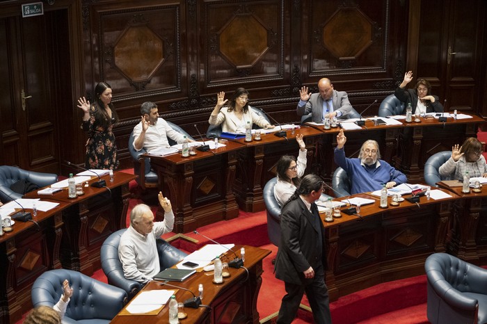 Sesión del Senado. · Foto: Gianni Schiaffarino