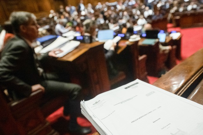 Durante la votación del Presupuesto Nacional 2025-2029, el 14 de octubre, en la Cámara de Representantes, en el Palacio Legislativo. · Foto: Gianni Schiaffarino