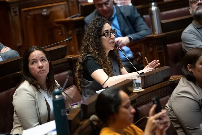 Inés Cortés, durante la sesión de la Cámara de Representantes,  en el Palacio Legislativo · Foto: Gianni Schiaffarino
