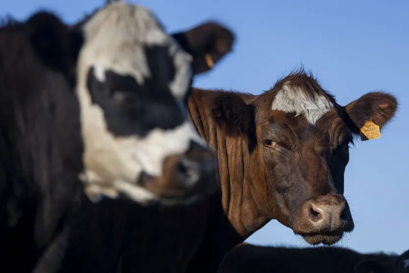 20260226 cunietti conexion