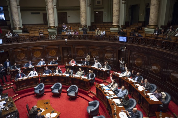 Votación del Senado. · Foto: Gianni Schiaffarino