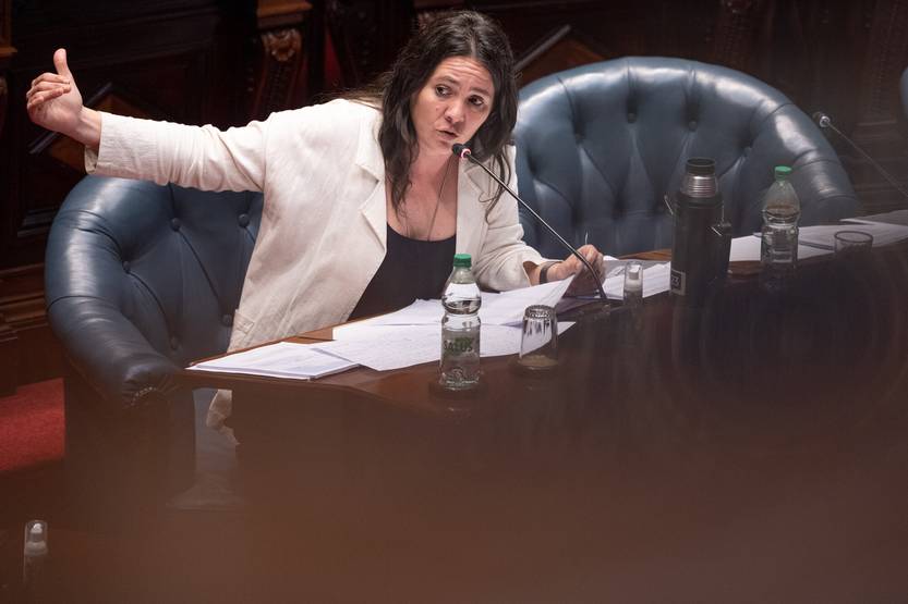 20251224 parlamento futuro