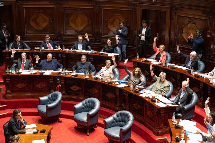 Votación de la Ley de “Muerte Digna”, el 15 de octubre en la cámara de Senadores. · Foto: Gianni Schiaffarino
