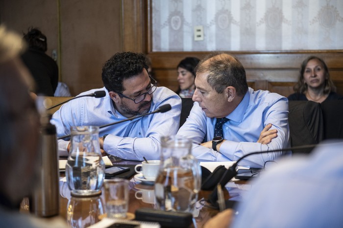 Alejandro Sánchez y Gabeiel Oddone, en el Parlamento. · Foto: Diego Vila