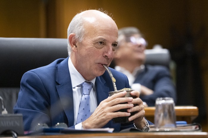 Javier García, ayer, en el Parlamento. · Foto: Gianni Schiaffarino