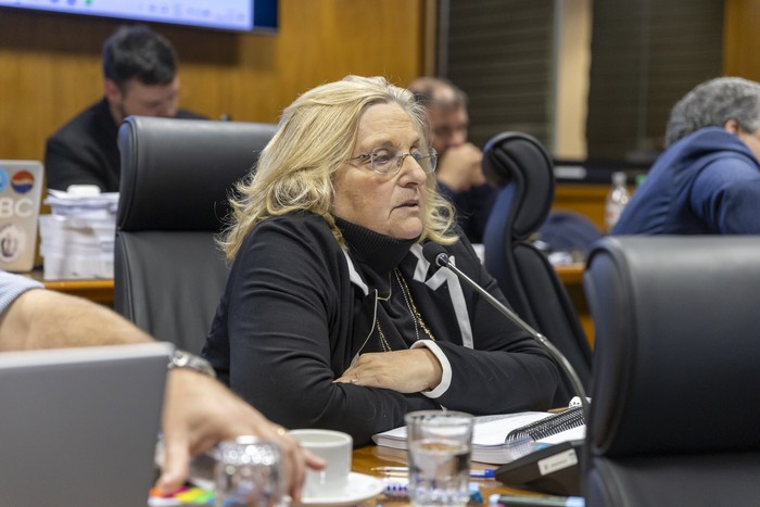 Graciela Bianchi en el Parlamento (archivo, octubre de 2025). · Foto: Rodrigo Viera Amaral