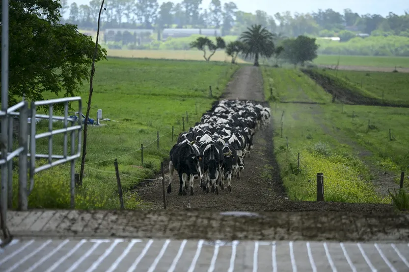 20260312 col nueva helvecia