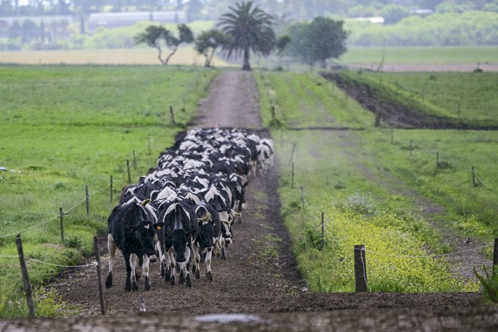 Archivo. · Foto: Ignacio Dotti