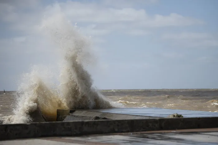 Muelle del Puerto de Buceo  (archivo, 2023) · Foto: Gianni Schiaffarino