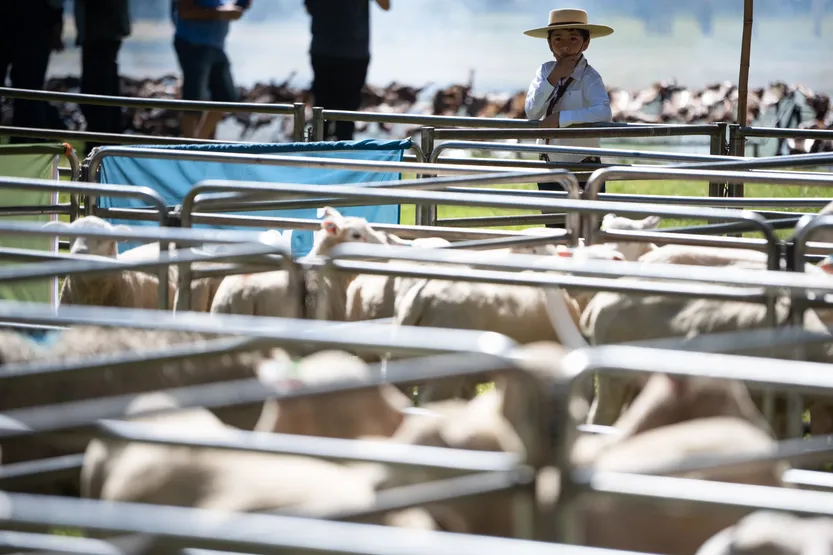 20260320 AGRO ComercioEXT (N.Chabén) P34 f2