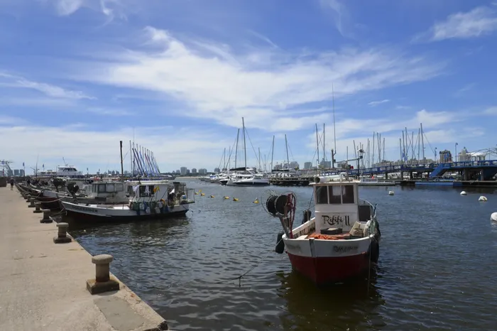 Puerto de Punta del Este. (archivo, octubre de 2026) · Foto: Natalia Ayala