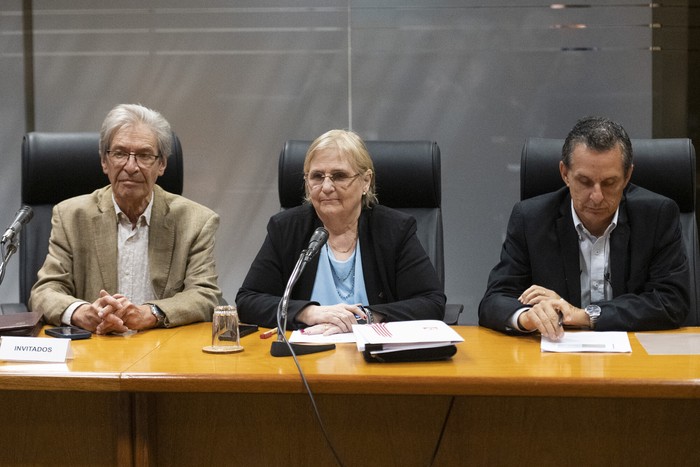 Selio Zak, Cristina Freire y Félix Abadi, el13 de noviembre, en la Comisión de Lavado de Activos de la Cámara de Diputados. · Foto: Alessandro Maradei