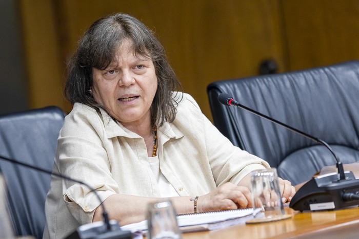 Mónica Ferrero en la Comisión Especial de Lavado de Activos, el viernes 14 de noviembre. · Foto: Rodrigo Viera Amaral