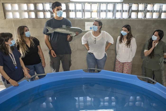 Emilia Rossini, Laura Alsina, Gabriel Martinez, Natasha Eliopulos, Paulina Mateos, Florencia Baraibar, el 13 de noviembre, en la Facultad de Veterinaria. · Foto: Gianni Schiaffarino