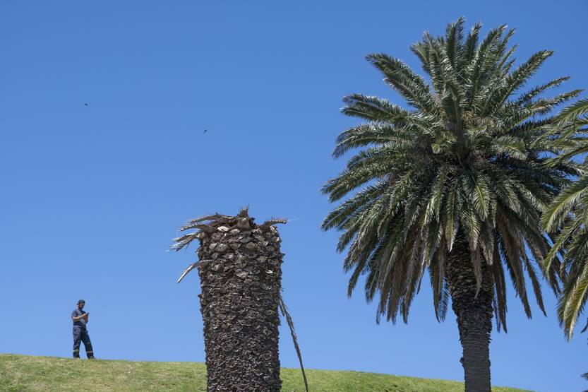 20251230 amb resumen año 3