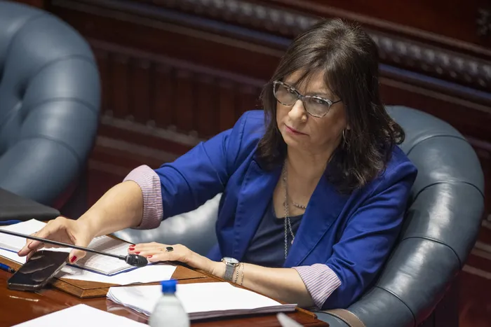 Blanca Rodríguez en la Cámara de Senadores (archivo, diciembre de 2025) · Foto: Gianni Schiaffarino