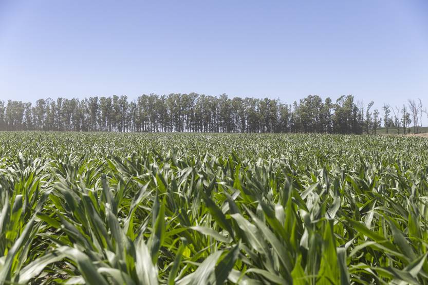 20251218 maría dolores 5