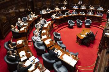 Cámara de Senadores, el 22 de diciembre. · Foto: Alessandro Maradei