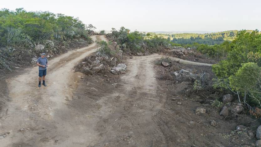 20251230 amb resumen del año 2