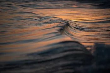 Playa de El Pinar. · Foto: Alessandro Maradei