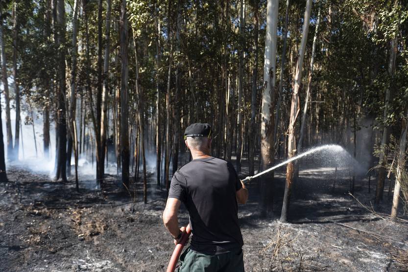 20260102 incendio punta espinillo