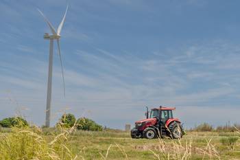Fray Marcos, en Florida, el 6 de enero Foto: Martin Hernández Müller
