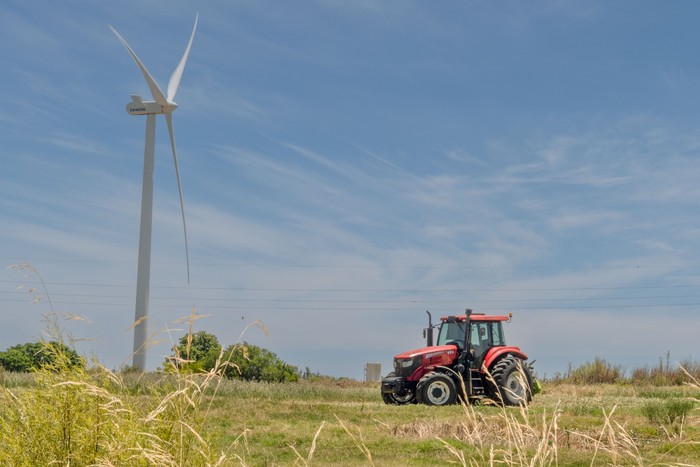 Fray Marcos, el 6 de enero, en Florida. Foto: Martín Hernández Müller