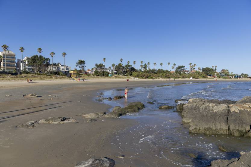 20260203 mortandad playas