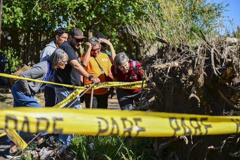 20260119 p10f1 cem carmelo giaf