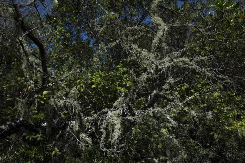 20260402 Pozos Azules 4