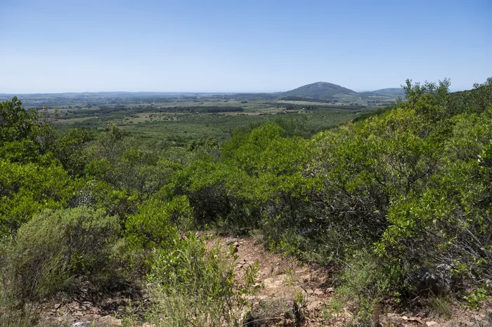 Sierra de las Ánimas, el 17 de enero, durante el ascenso a los Pozos Azules en Maldonado. · Foto: Alessandro Maradei