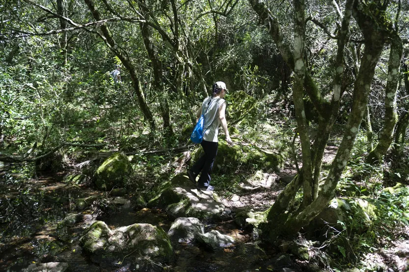 20260402 Pozos Azules 3