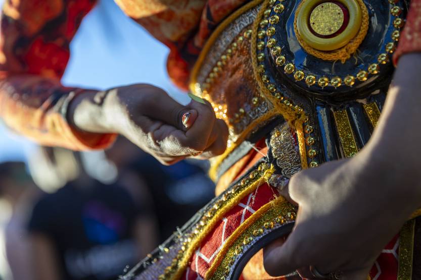 24 20260124 escuelas de samba 2