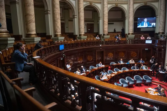 Cámara de Senadores (archivo, enero de 2026). · Foto: Gianni Schiaffarino