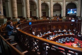 Cámara de Senadores (archivo, enero de 2026). · Foto: Gianni Schiaffarino
