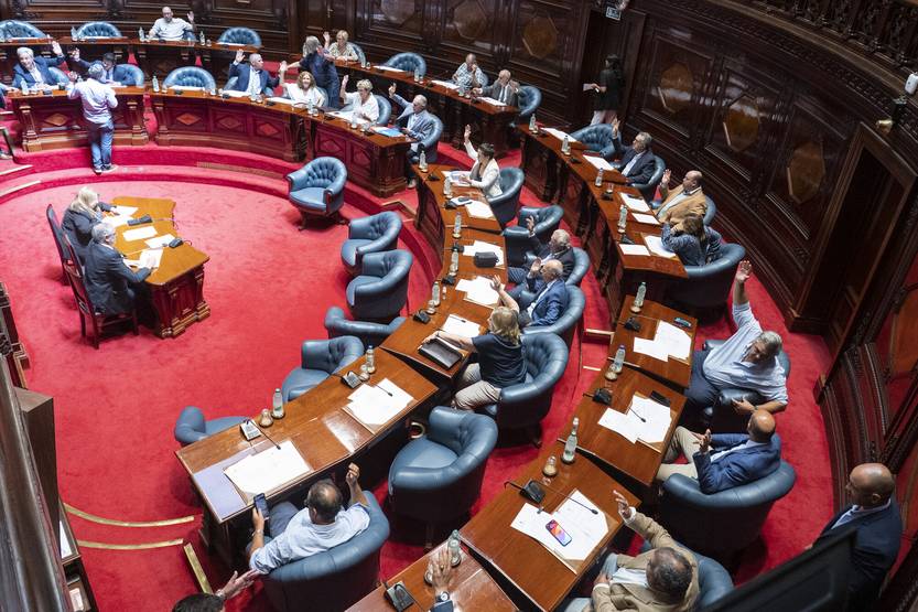 20260210 senado ddhh