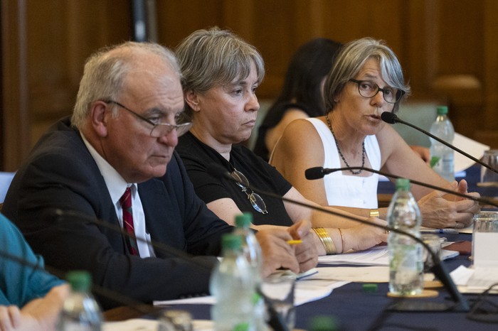 Juan Miguel Petit, Jimena Fernandez y Mariana Mota en la  Comisión de Presupuesto de la cámara de Senadores. · Foto: Alessandro Maradei