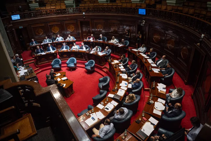 Cámara de Senadores, enero de 2026. · Foto: Gianni Schiaffarino