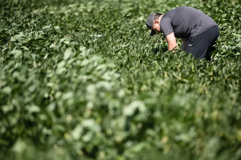 20260320 AGRO Entrevista (A.Guidice) P16 F1